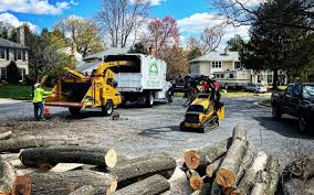 Best Lawn Renovation and Restoration  in Salton City, CA