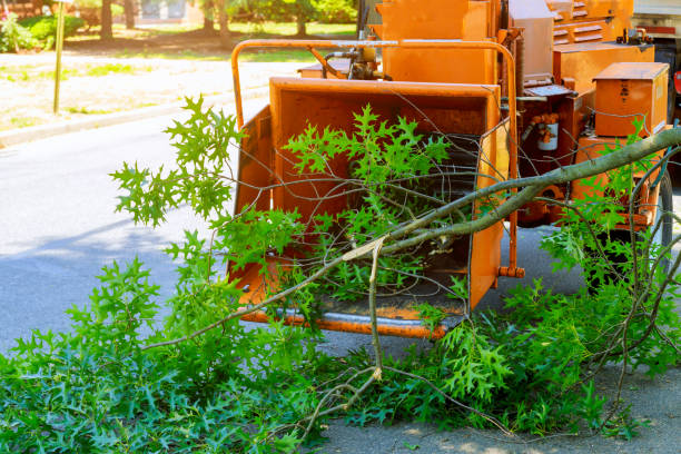 Best Aeration Services  in Salton City, CA
