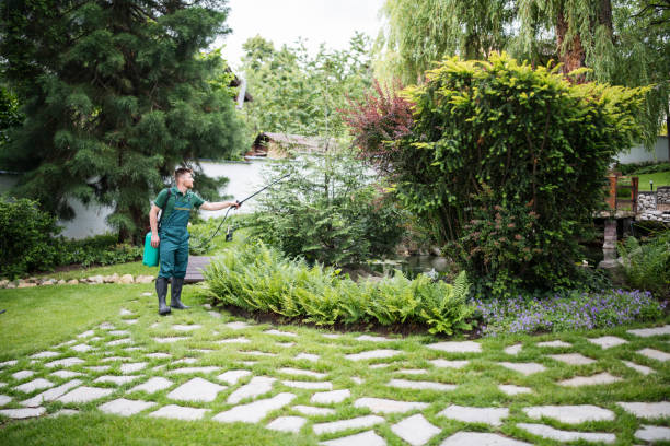 Best Tree Cabling and Bracing  in Salton City, CA